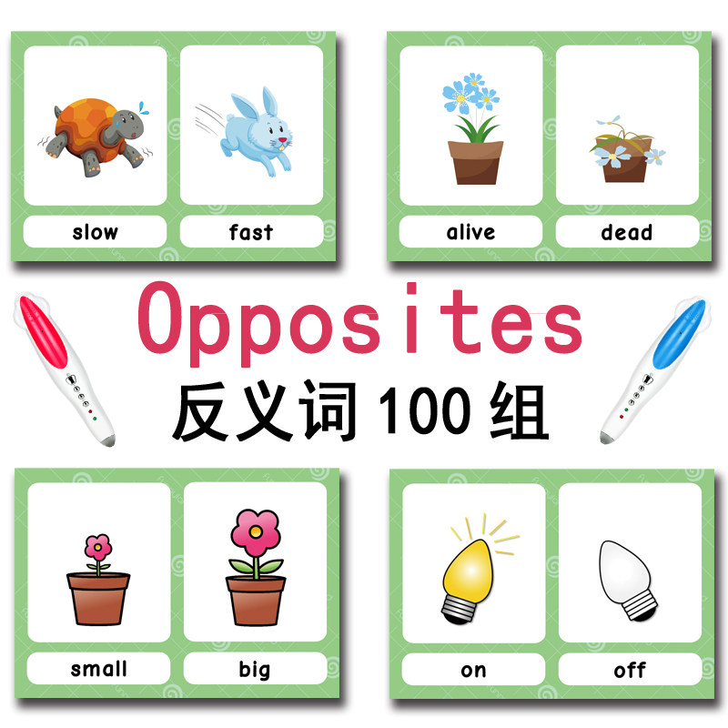 The 100 Groups Opposites Flash - огляд і ціна Kids Early Education