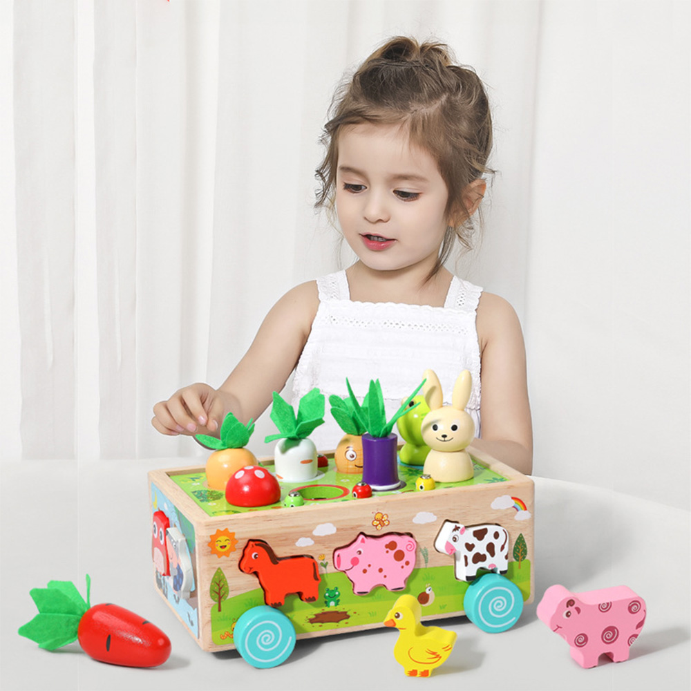 Wooden Shape Assortment Matchi - огляд і ціна Kids Educational Game 3